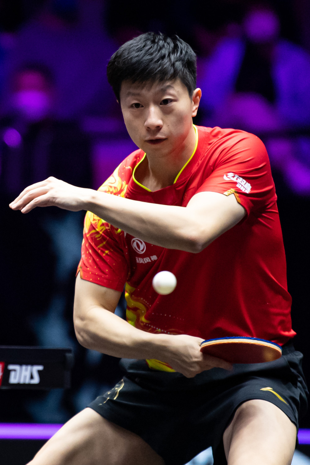 已经年满3 已经年满3